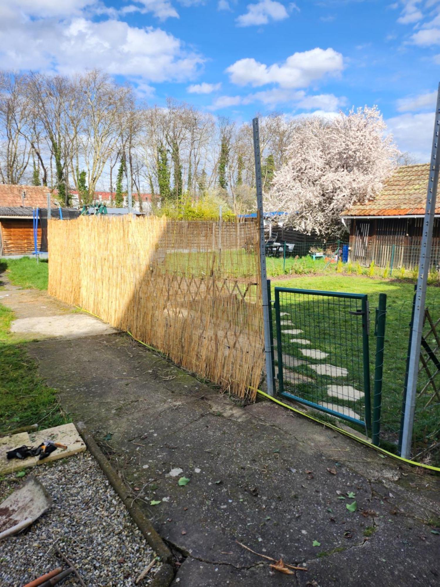 Gite Du Logelbach Wintzenheim Exterior photo